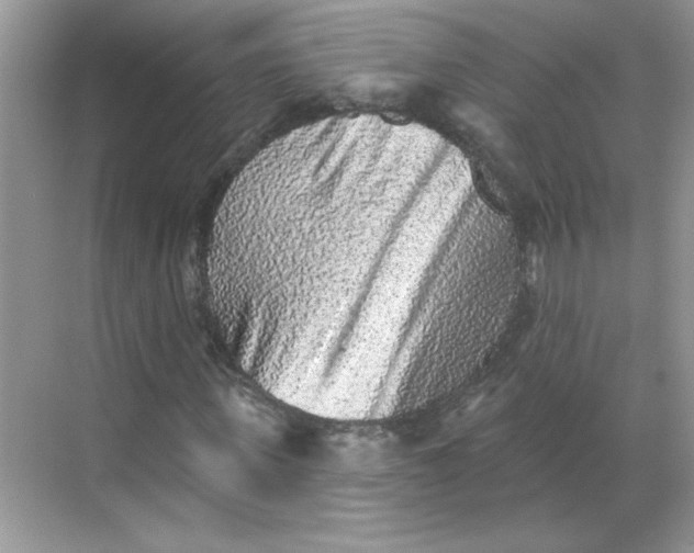 X0000068720915200605121448