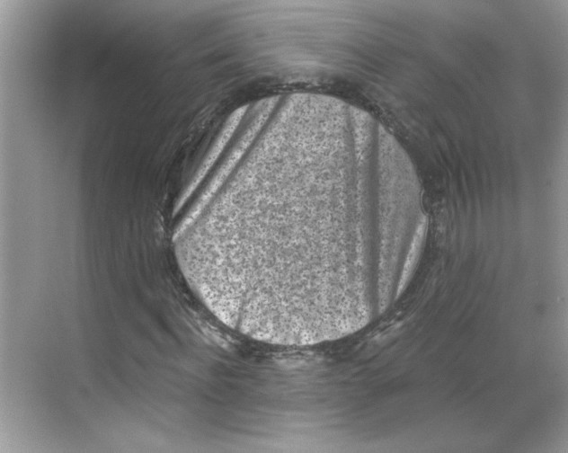 X0000068720916200605121448