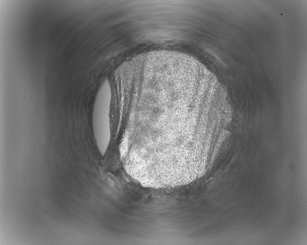 X0000068720917200605121448