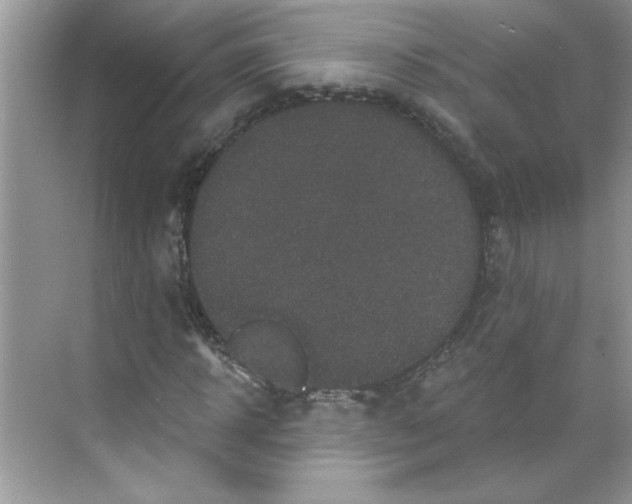 X0000068720918200605121448