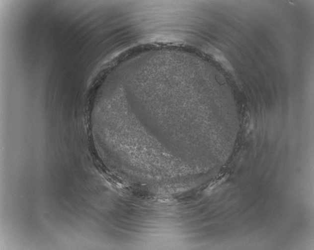 X0000068720920200605121448