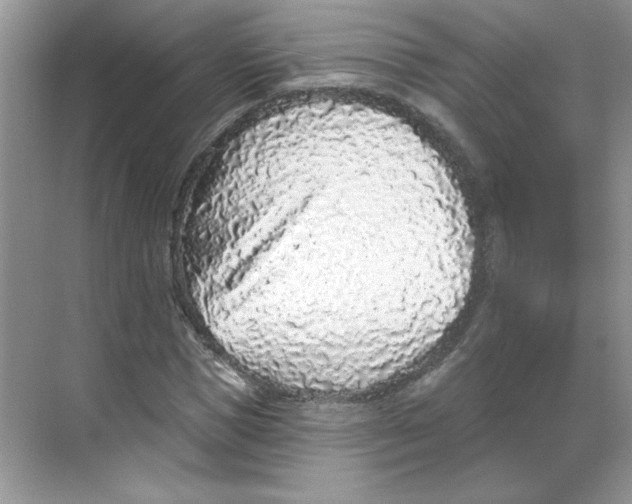 X0000068720921200605121448