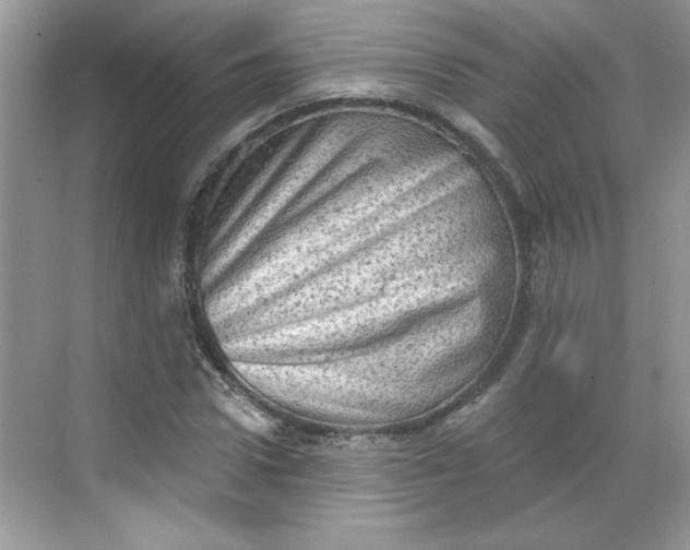 X0000068720922200605121448