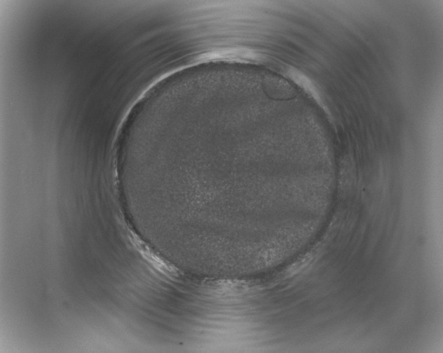 X0000068720923200605121448