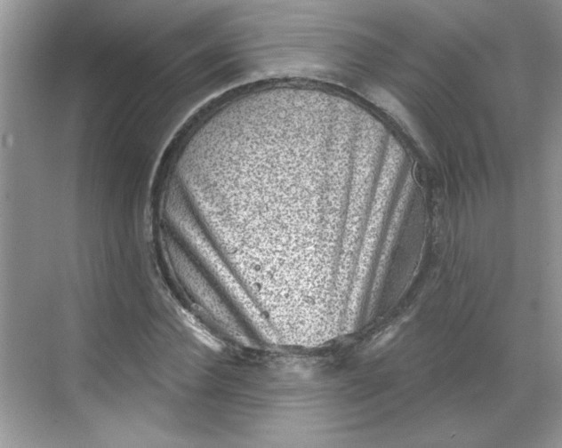 X0000068720924200605121448