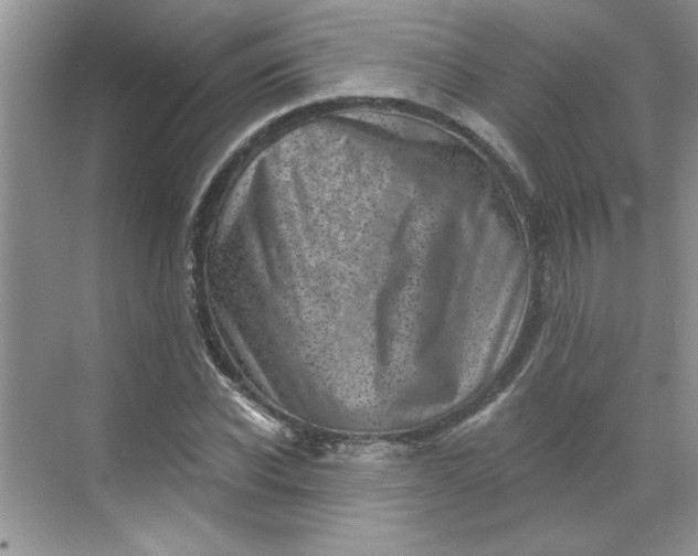 X0000068720926200605121448