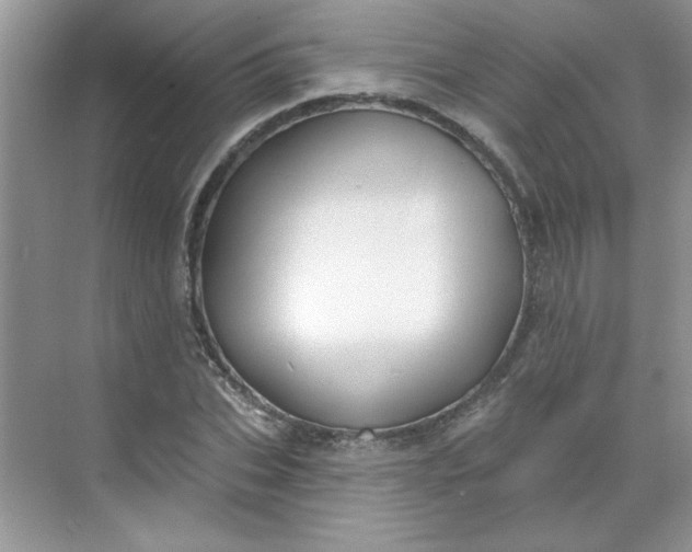 X0000068720927200605121448