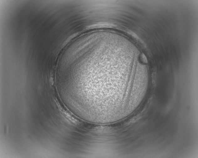 X0000068720929200605121448