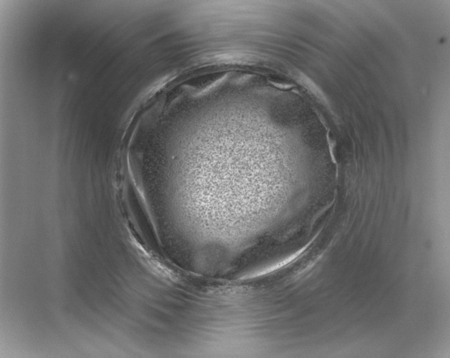 X0000068720930200605121448