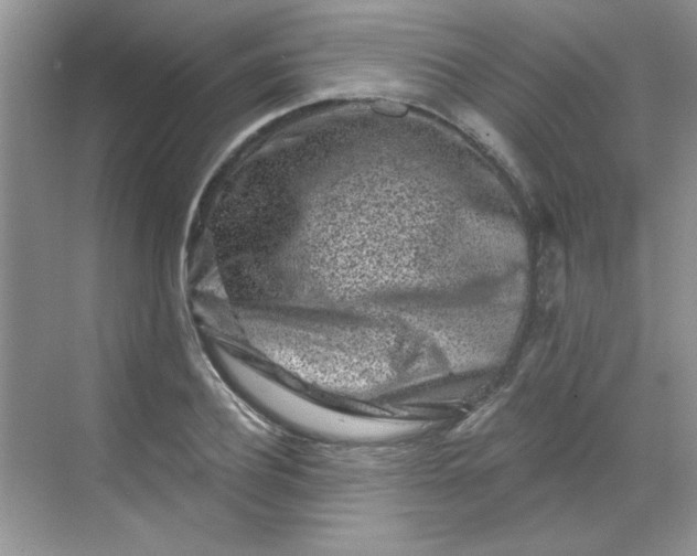 X0000068720932200605121448