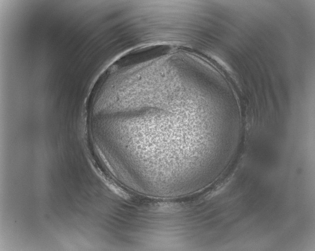 X0000068720933200605121448