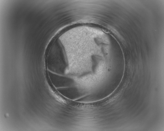 X0000068720934200605121448