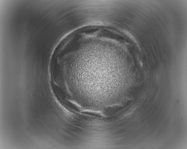 X0000068720935200605121448