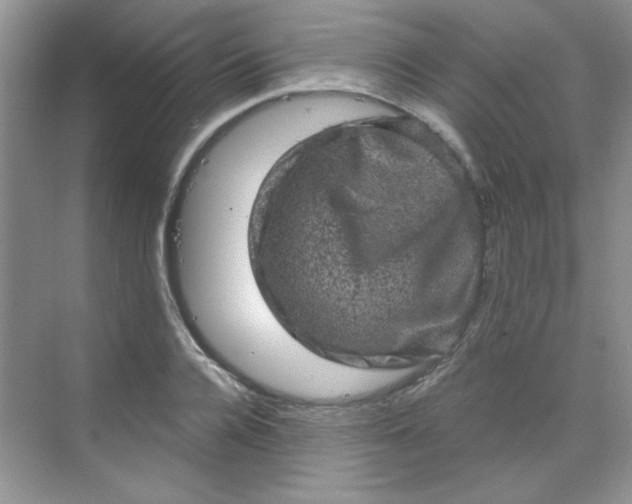 X0000068720936200605121448