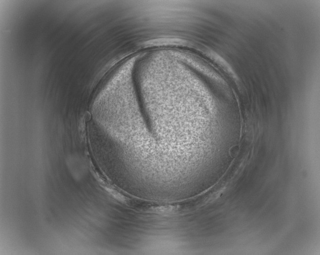 X0000068720937200605121448