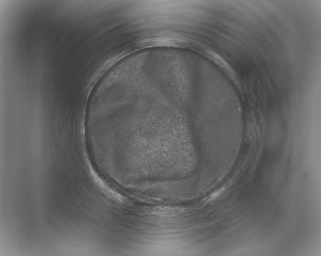 X0000068720938200605121448