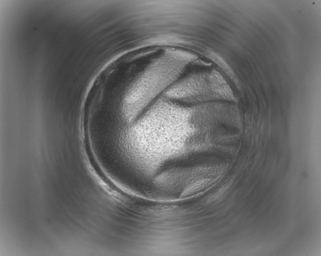 X0000068720939200605121448