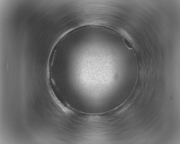 X0000068720940200605121448