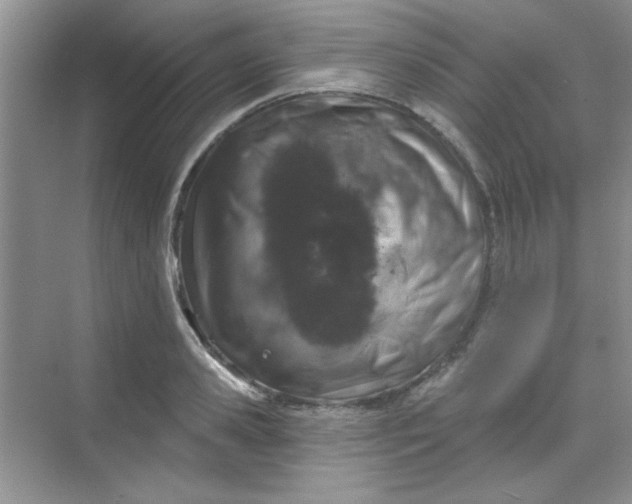 X0000068720941200605121448