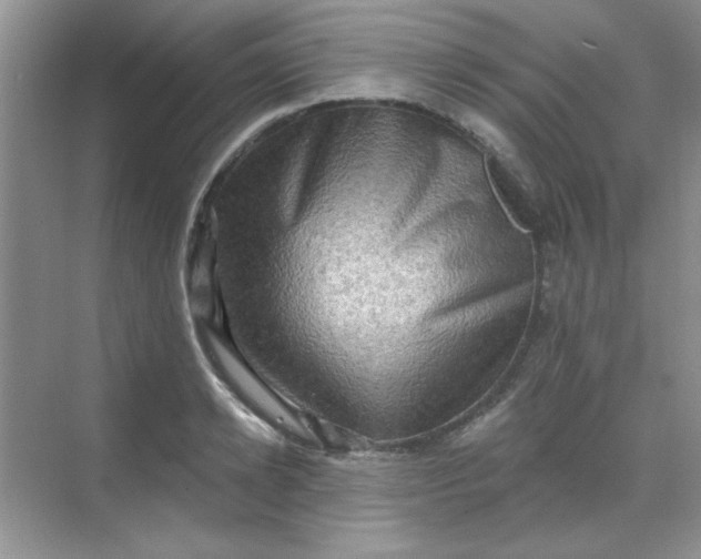 X0000068720942200605121448