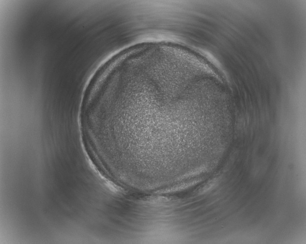 X0000068720943200605121448