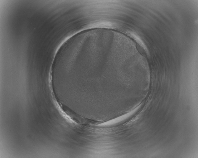 X0000068720944200605121448