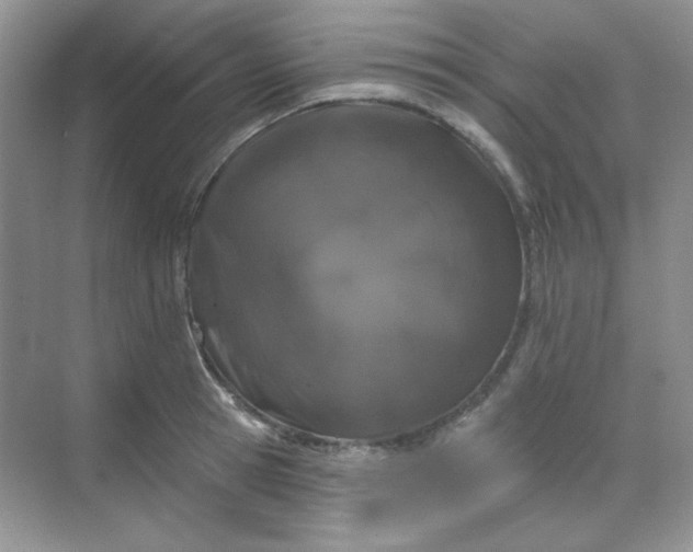 X0000068720945200605121448