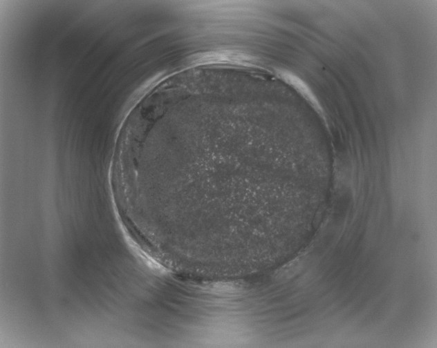 X0000068720946200605121448