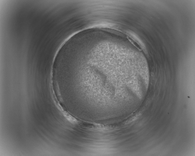 X0000068720948200605121448