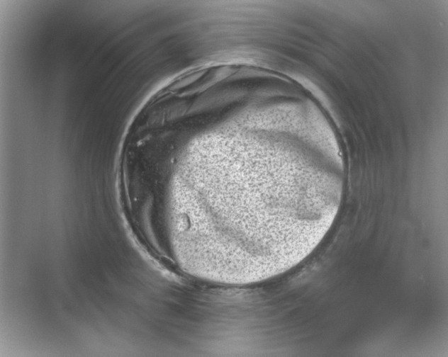 X0000068720949200605121448