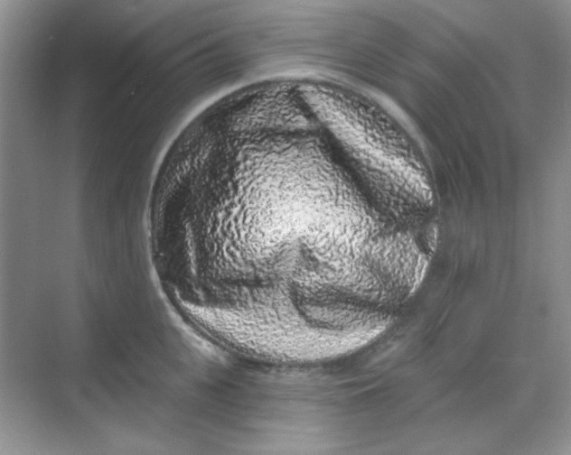 X0000068720951200605121448