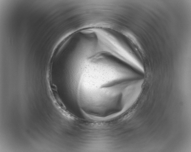 X0000068720952200605121449