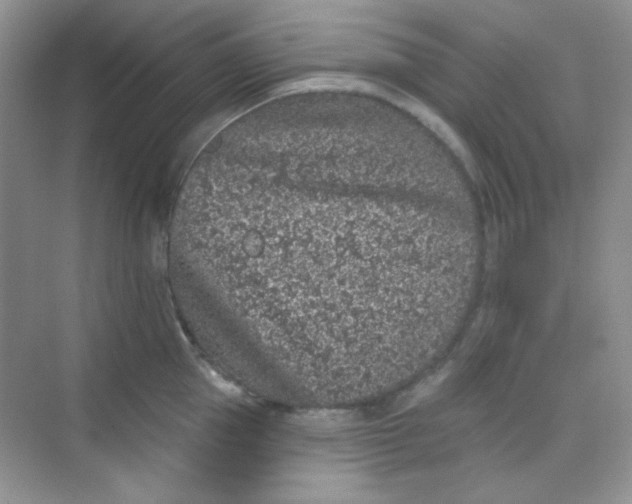 X0000068720953200605121449