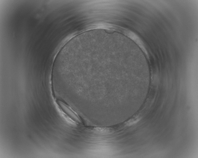 X0000068720954200605121449