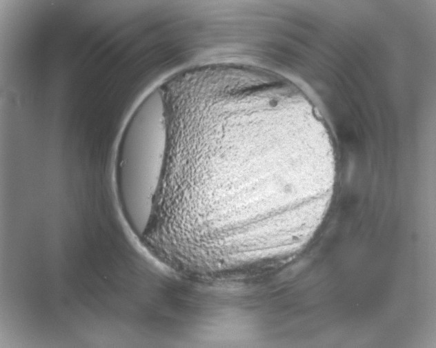 X0000068720957200605121449