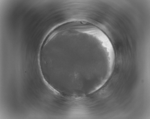 X0000068720958200605121449