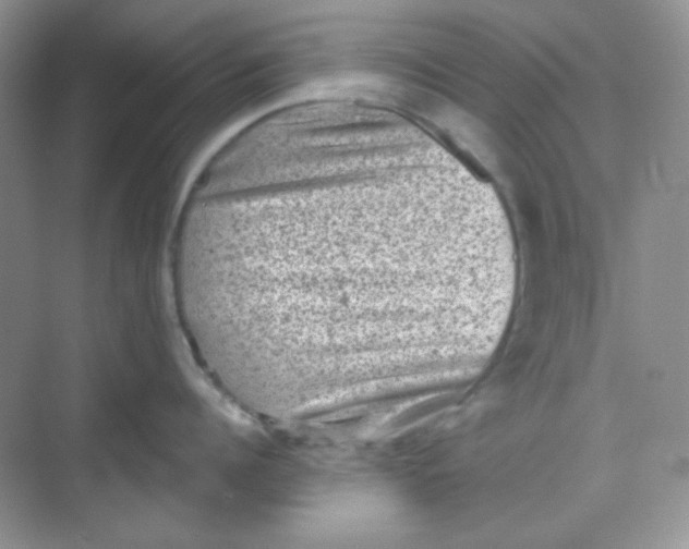 X0000068720960200605121449