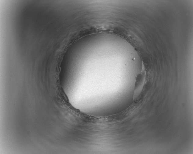 X0000068720961200605121448