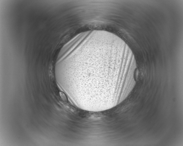 X0000068720964200605121448