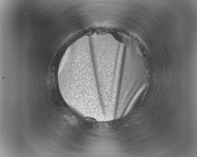 X0000068720968200605121448