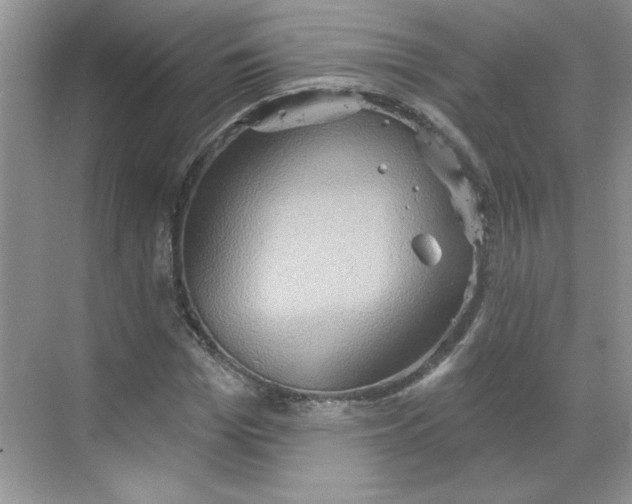 X0000068720969200605121448