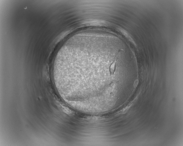 X0000068720970200605121448