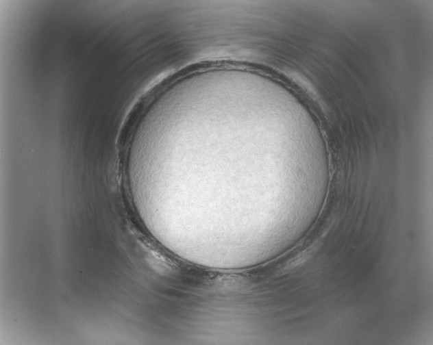 X0000068720974200605121448