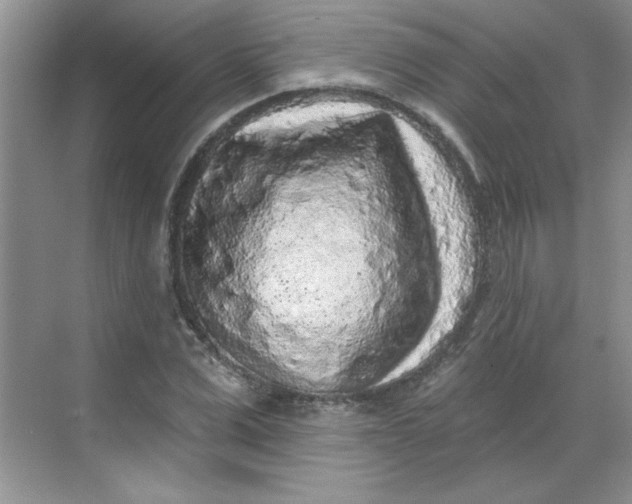 X0000068720975200605121448