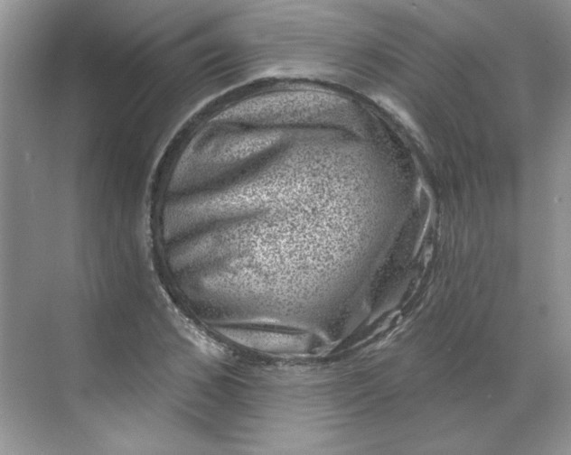 X0000068720976200605121448