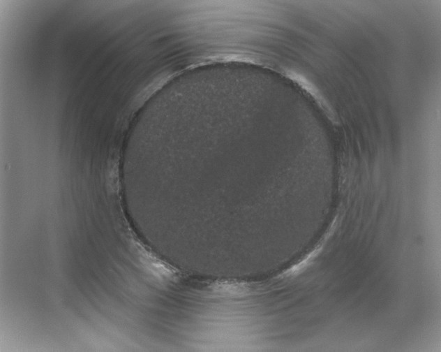 X0000068720977200605121448