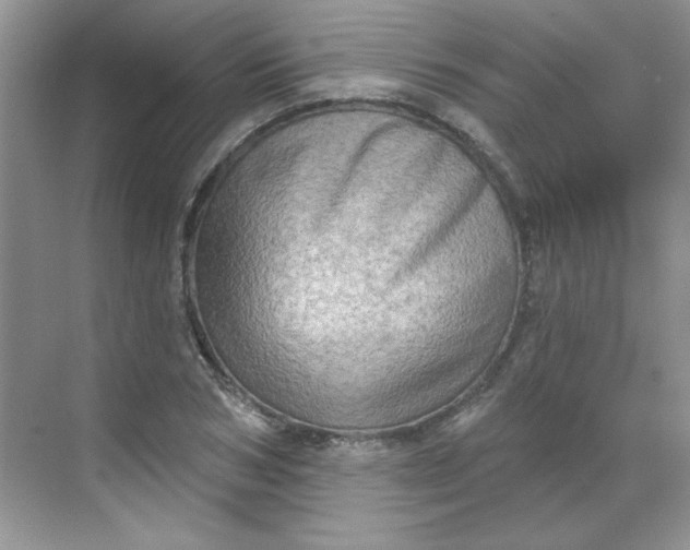 X0000068720978200605121448