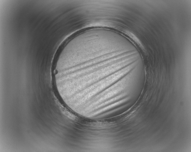 X0000068720980200605121448