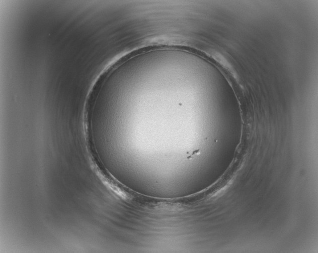 X0000068720981200605121448