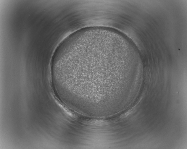 X0000068720982200605121447